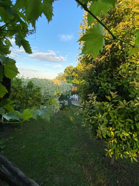 Spring, Day, Natural landscape, Garden, Garden view