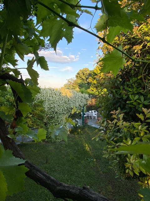 Spring, Day, Natural landscape, Garden, Garden, View (from property/room), Garden view