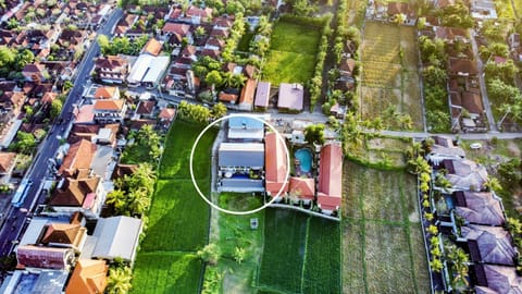 Property building, Natural landscape, Street view, Location