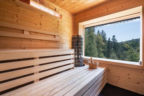 Natural landscape, Sauna, View (from property/room), Mountain view