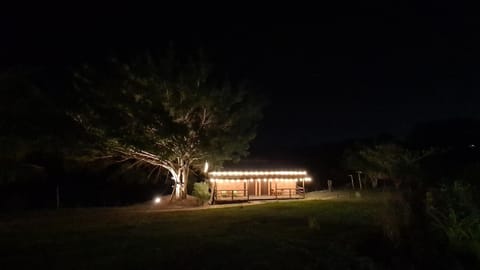 Property building, Night, Natural landscape