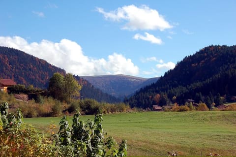 Natural landscape, Mountain view