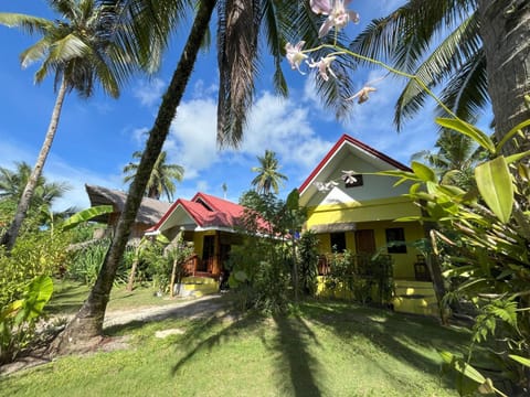 Property building, Day, Garden, Garden view