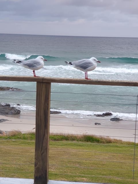 Mariner House in Tasmania