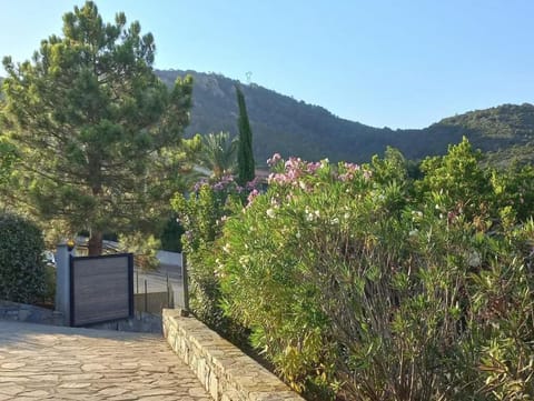 Spring, Day, Natural landscape, Mountain view