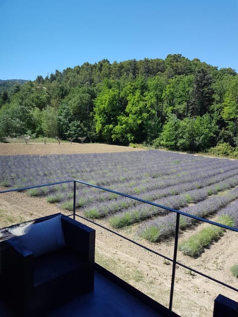 Menerbes Luberon maison moderne clim piscine Villa in Ménerbes