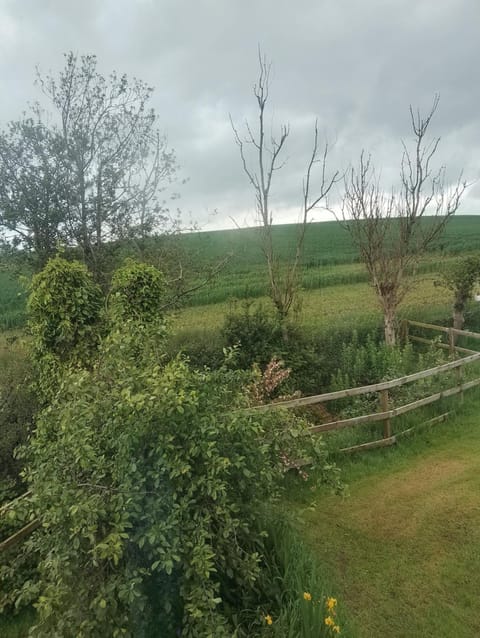 Rabbit views House in Pendle District