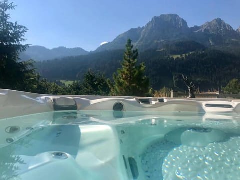 Super Luxury Serviced Apartment next to Gstaad Apartment in Saanen