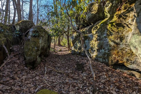 Big Boulder Retreat House in Garrett County