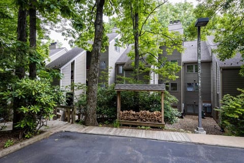 Condo At Wintergreen Walk To Slope, Pool Access House in Massies Mill