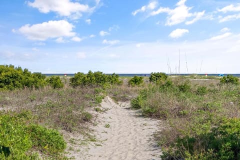 Shipwatch, Unit 113 - 1524 Wood Avenue House in Saint Simons Island