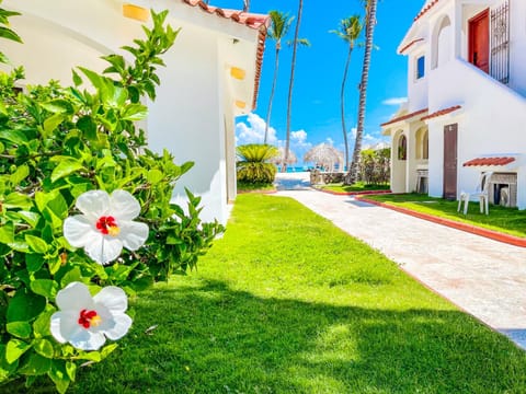 Property building, Neighbourhood, Natural landscape, Garden view, Street view