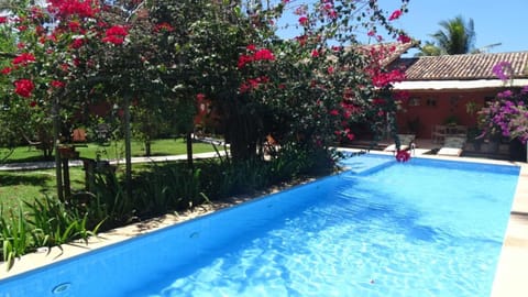 Garden, Swimming pool