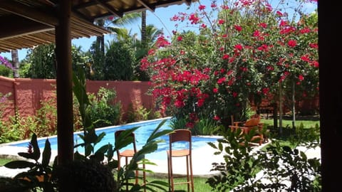 Patio, Garden view, Swimming pool