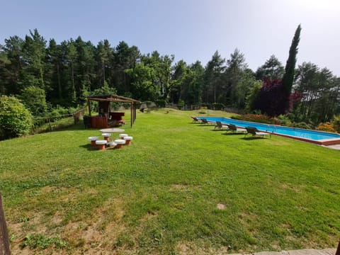 Garden, Garden view, Pool view, Swimming pool, sunbed