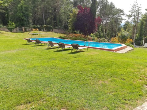 Garden, Pool view, Swimming pool, sunbed