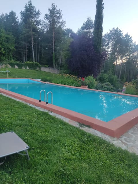 Garden, Swimming pool