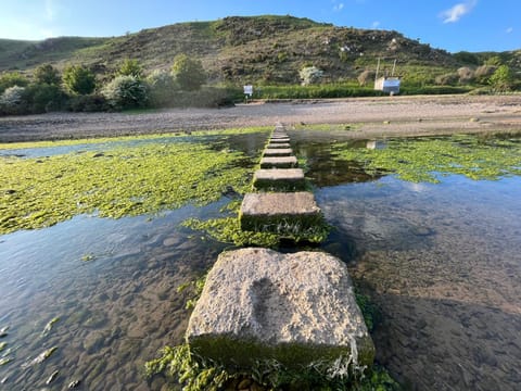 Nearby landmark, Natural landscape, River view