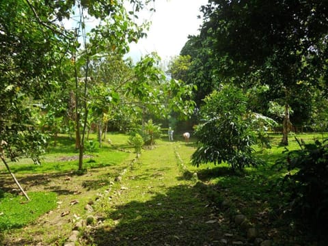 CAMPOWASI Hostel Nature lodge in San Martin, Peru