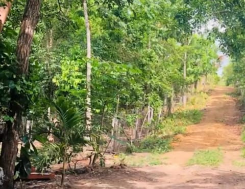 Recanto três poderes House in State of Tocantins