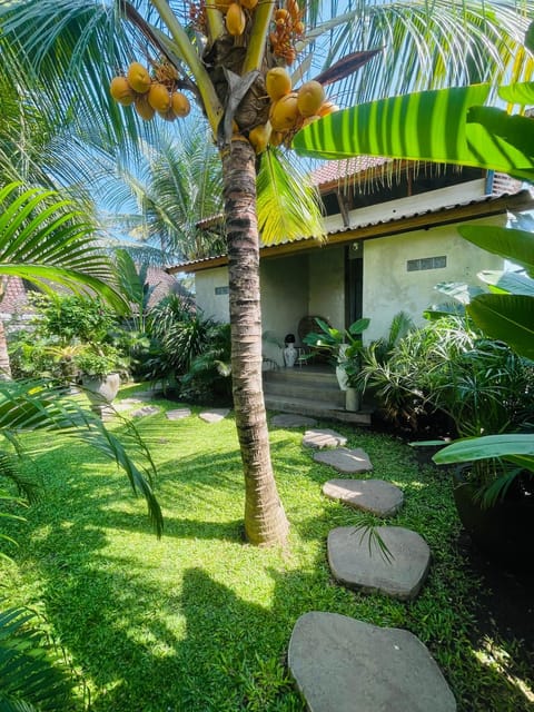 Property building, Garden, Garden view