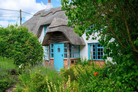 Property building, Garden view