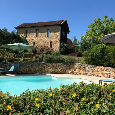 Garden, Pool view, Swimming pool, sunbed