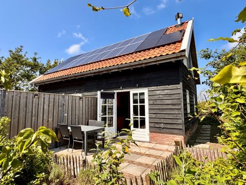 Property building, Spring, Day, Garden