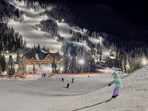 Night, Skiing