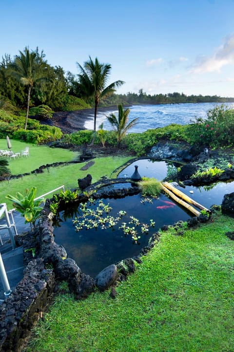 Natural landscape, Sea view