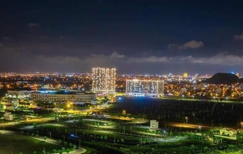 Night, Bird's eye view