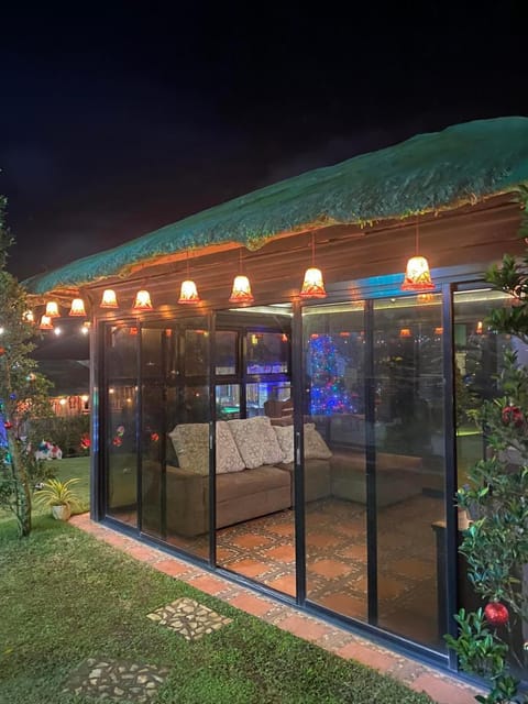 Patio, Night, Garden, Garden view