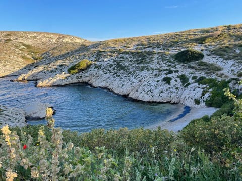 Natural landscape, Beach, Sea view