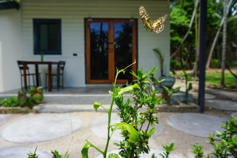 Patio, Garden