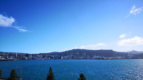 Oriental Bay Waterfront with 180 Views Apartment in Wellington