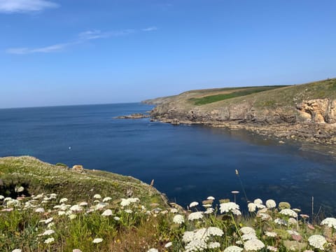 Penty de charme - Plogoff Pors Loubous House in Finistere