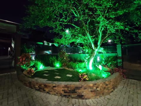 Night, Garden, Garden, Garden view