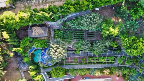 Natural landscape, Bird's eye view, Garden view