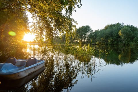 Activities, Lake view, Sunset