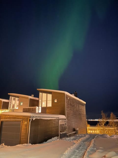 Property building, Night, Natural landscape, Winter