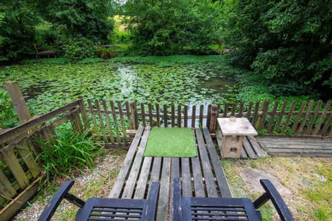 Natural landscape, Lake view