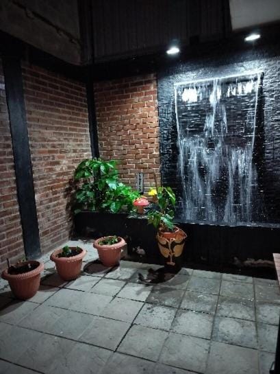 Patio, Night, Garden view