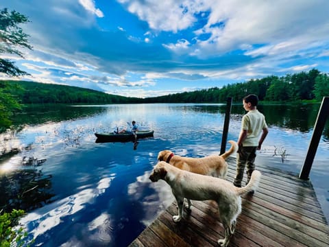 Natural landscape, Activities, Animals, Pets, Lake view