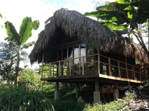 Romantic Cabana with View on Finca La Luisa House in Quindio, Colombia