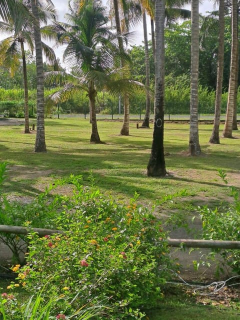 Garden, Garden view