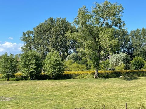 Uniek Tiny house nabij de kust in mooie polders Campground/ 
RV Resort in Bruges