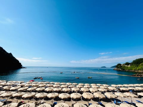 Villa Marcella - Near 5 Terre - Holiday Apartment House in Province of Massa and Carrara