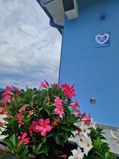 Rdm affittacamere Bed and Breakfast in Province of Massa and Carrara