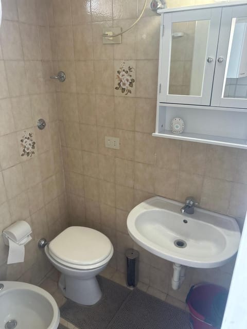 Shower, Toilet, Bathroom, bidet