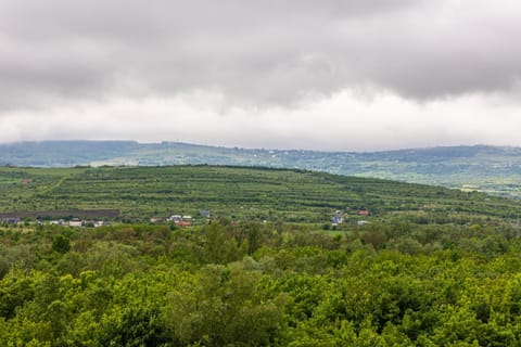 Day, Natural landscape, Bird's eye view